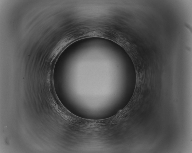 X0000102020098200807181336