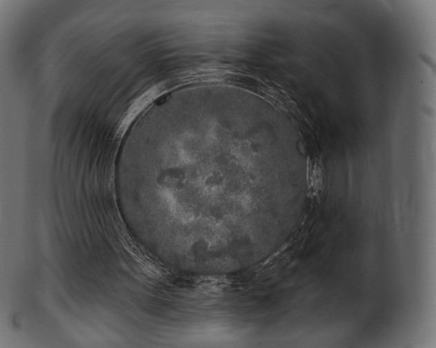 X0000102020099200807181336
