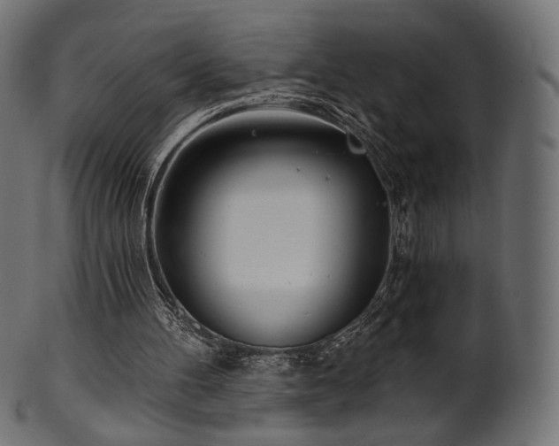 X0000102020100200807181336