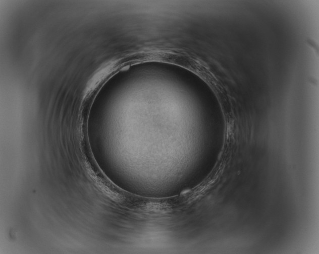 X0000102020101200807181336