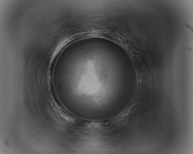 X0000102020102200807181335