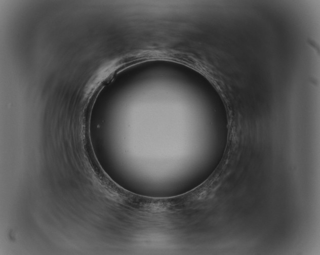 X0000102020103200807181335