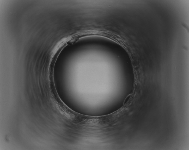 X0000102020104200807181335