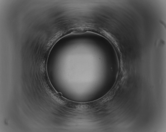 X0000102020105200807181335