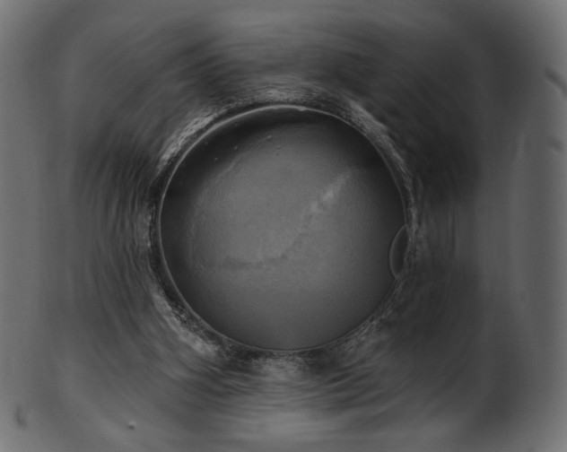 X0000102020106200807181335