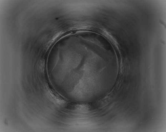X0000102020107200807181335