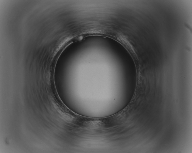 X0000102020108200807181335