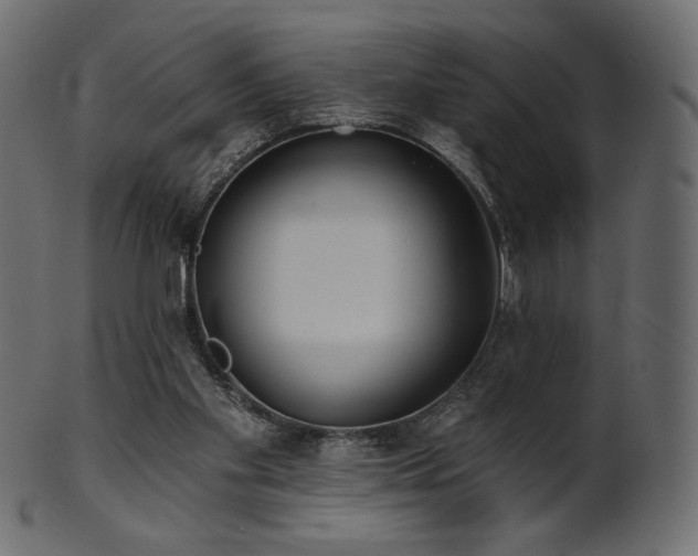 X0000102020109200807181335