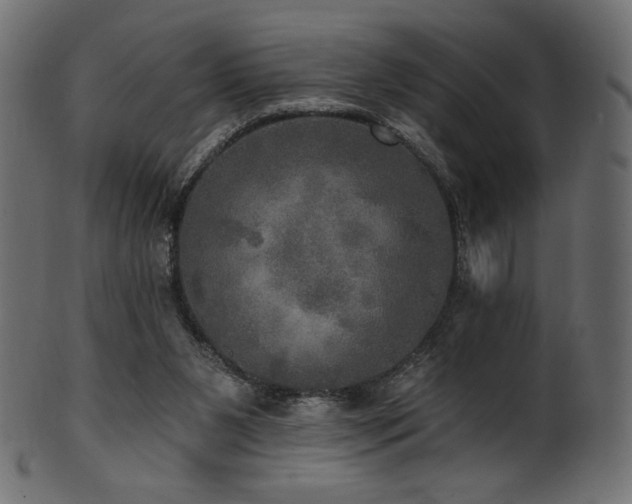 X0000102020111200807181335