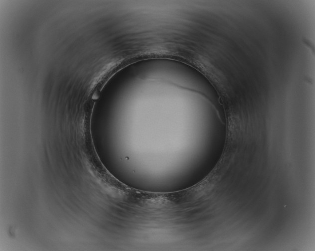 X0000102020112200807181335