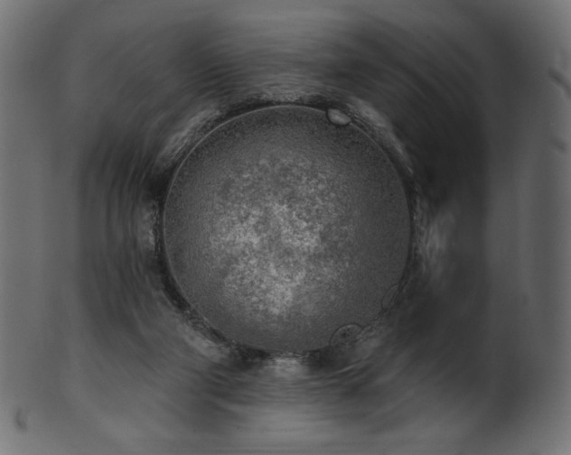 X0000102020114200807181335