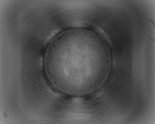 X0000102020115200807181335