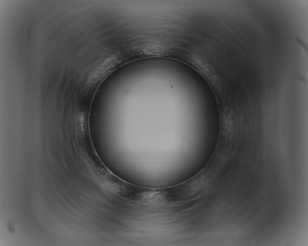 X0000102020117200807181335