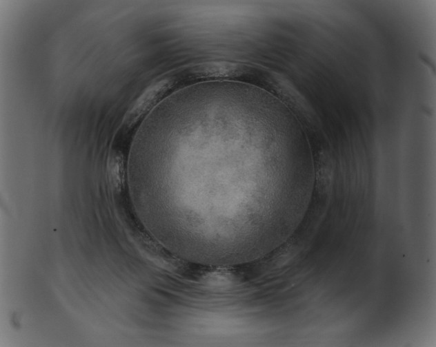X0000102020119200807181335