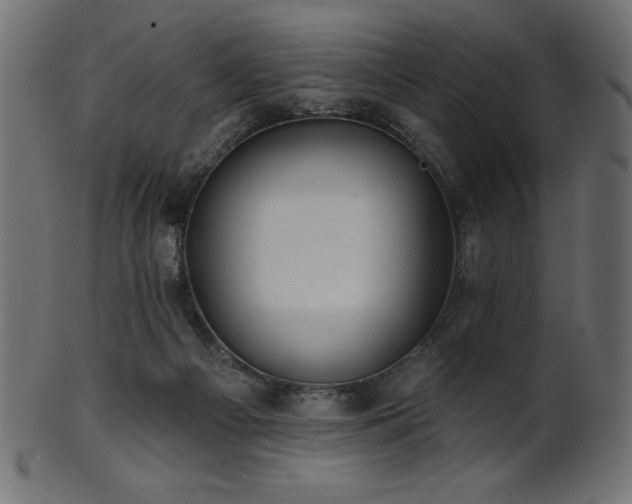 X0000102020121200807181335