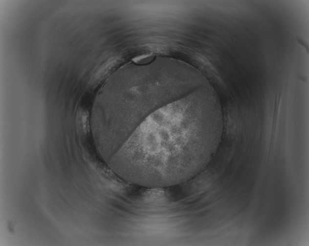X0000102020123200807181335