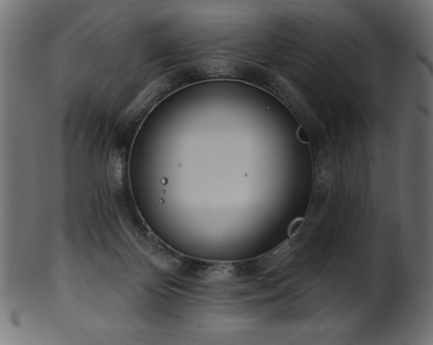 X0000102020124200807181335