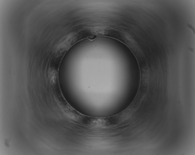 X0000102020125200807181335