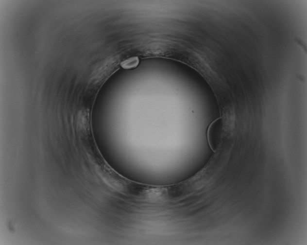X0000102020126200807181335