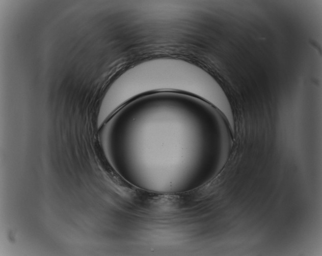 X0000102020128200807181335
