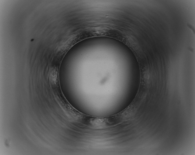 X0000102020129200807181335
