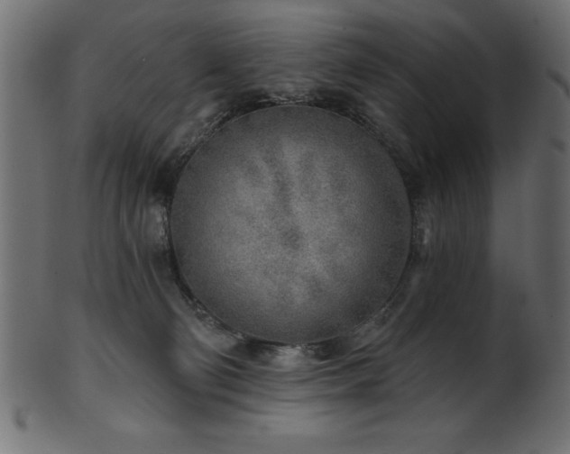 X0000102020130200807181335