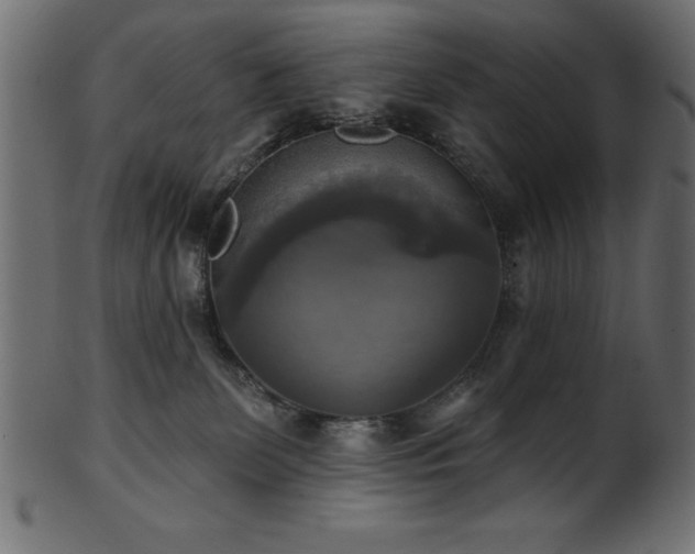 X0000102020131200807181335