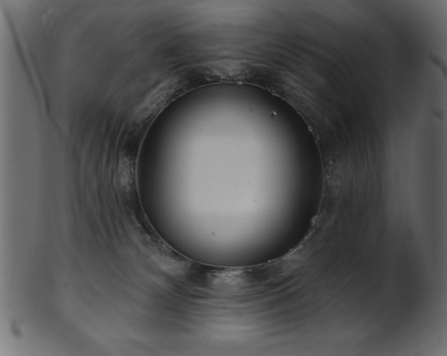 X0000102020132200807181335