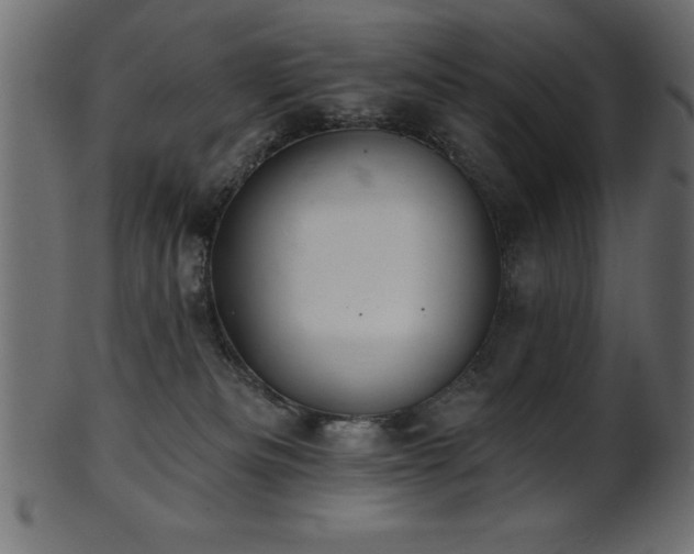 X0000102020133200807181335
