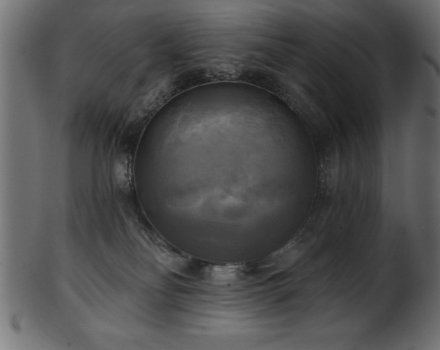 X0000102020134200807181335