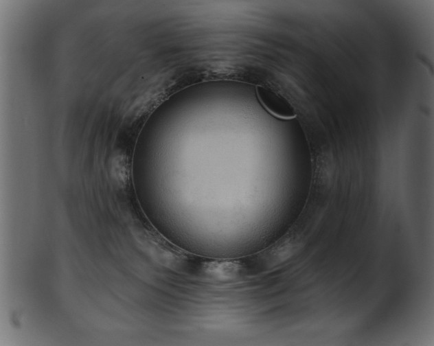 X0000102020135200807181335