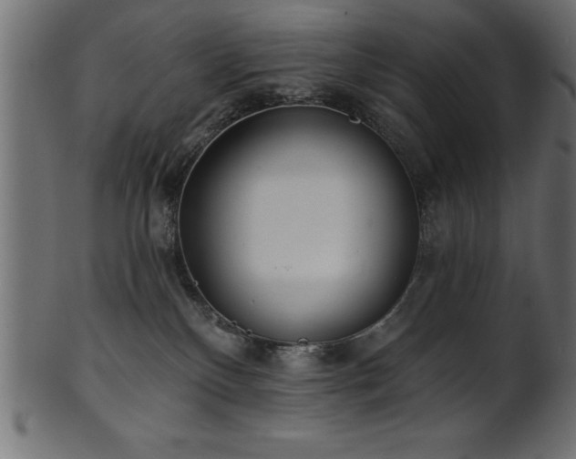 X0000102020136200807181335