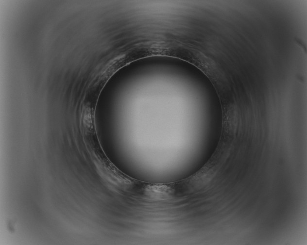X0000102020137200807181335