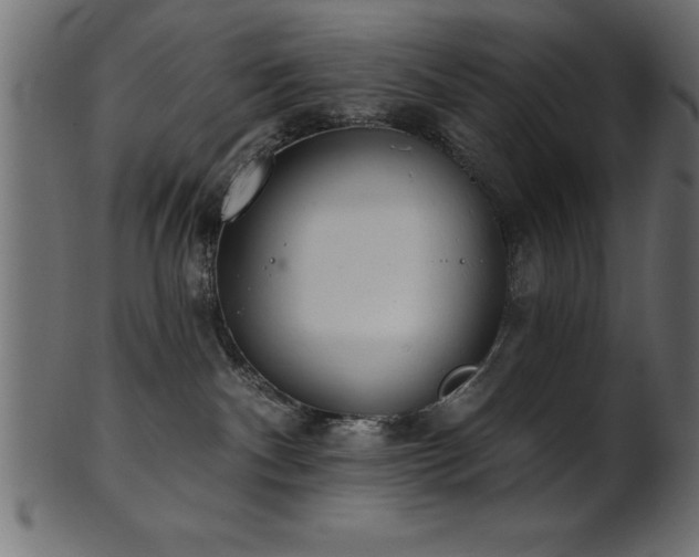 X0000102020140200807181335