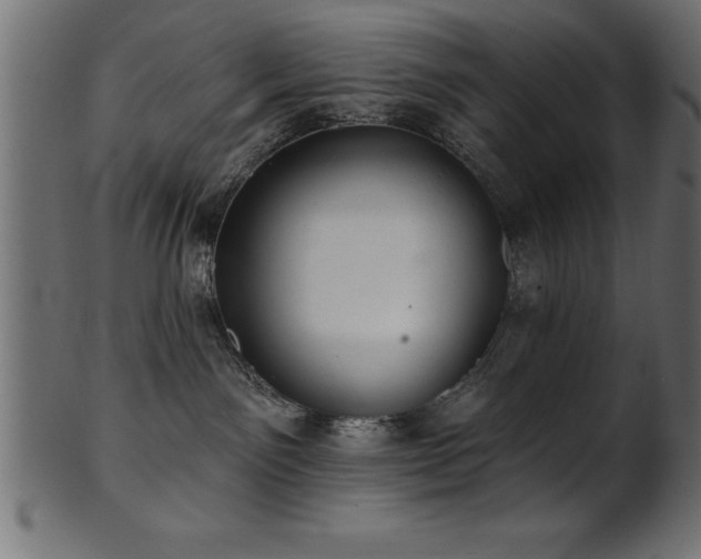 X0000102020141200807181335