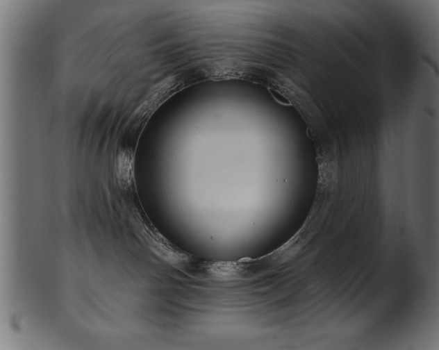 X0000102020142200807181335