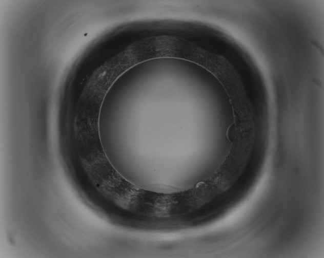 X0000102020143200807181335