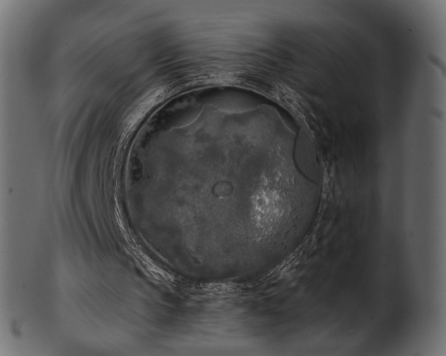 X0000102020145200807181334