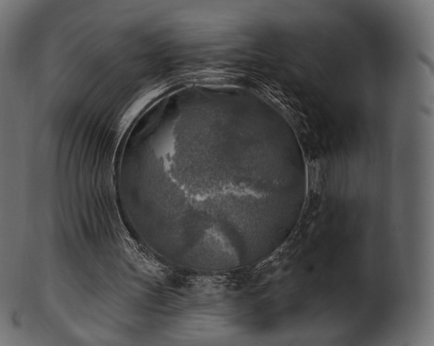X0000102020147200807181334