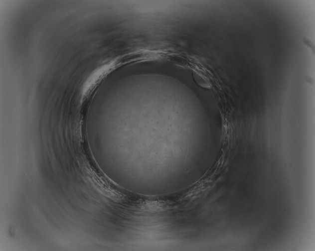 X0000102020149200807181334