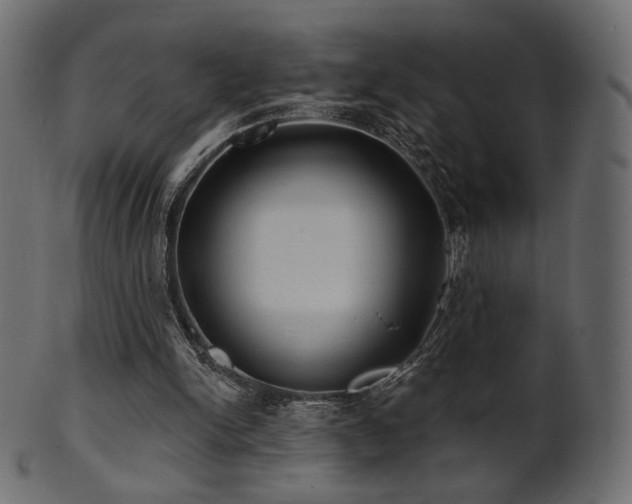 X0000102020150200807181334
