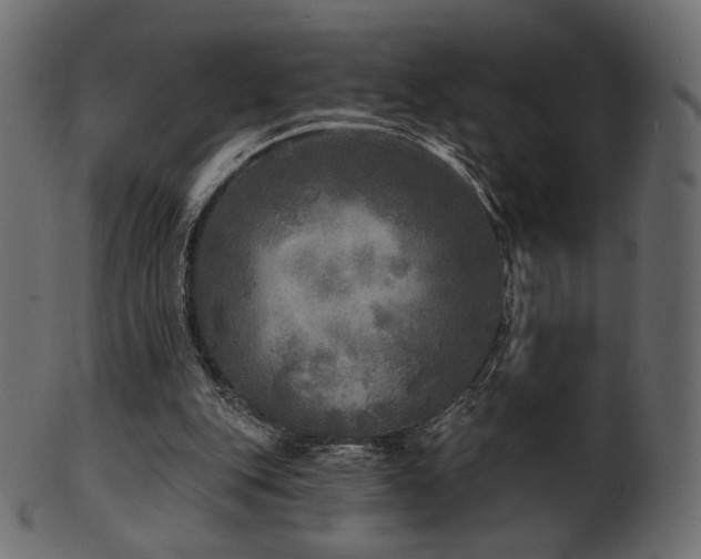 X0000102020151200807181334
