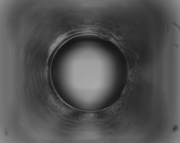 X0000102020152200807181334