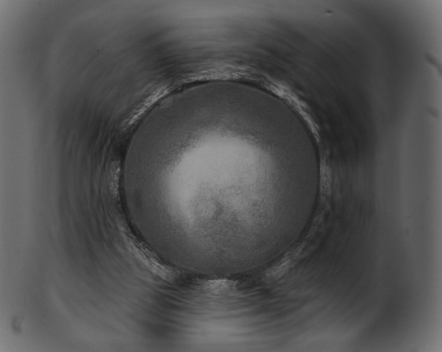X0000102020153200807181334