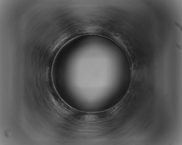 X0000102020154200807181334