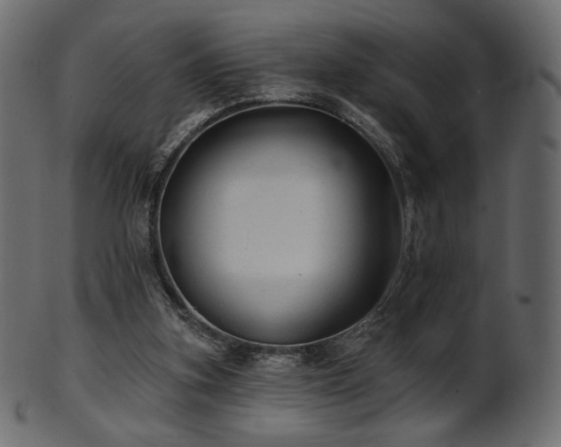 X0000102020155200807181334