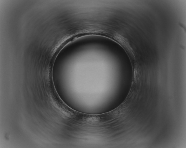 X0000102020156200807181334