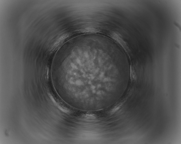 X0000102020157200807181334