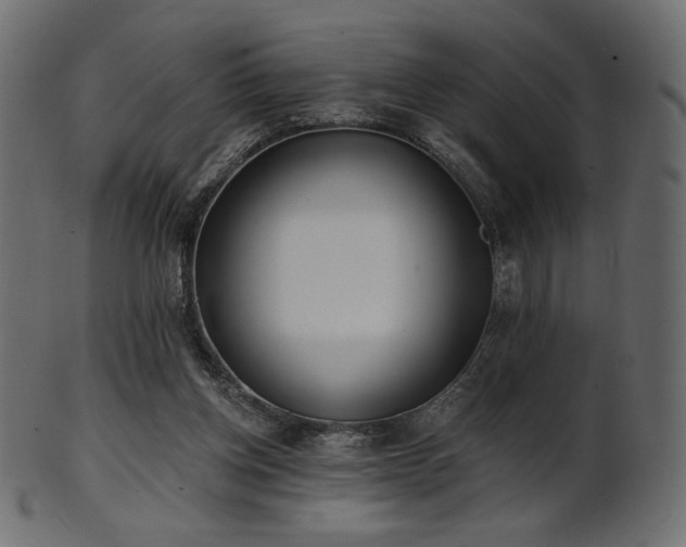 X0000102020158200807181334
