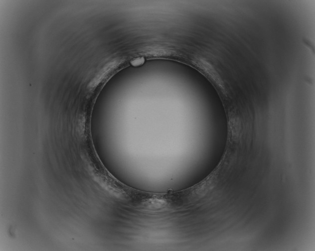 X0000102020159200807181334